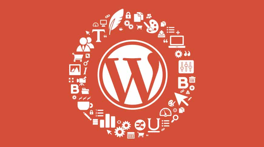 image show the wordpess logo of a wordpress development agency