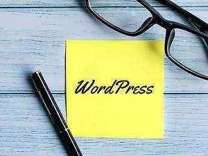 The cover picture of The Ultimate Guide to WordPress Security: 10 Simple Steps for a Bulletproof Website Site (2023 Update)