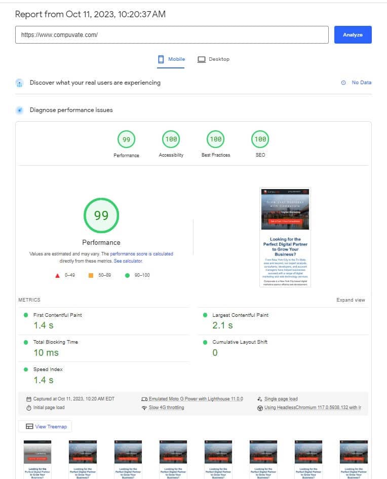 pagespeed insight score screenshot