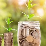 A picture of plants growing from coin jars depicting organic seo company natural growth