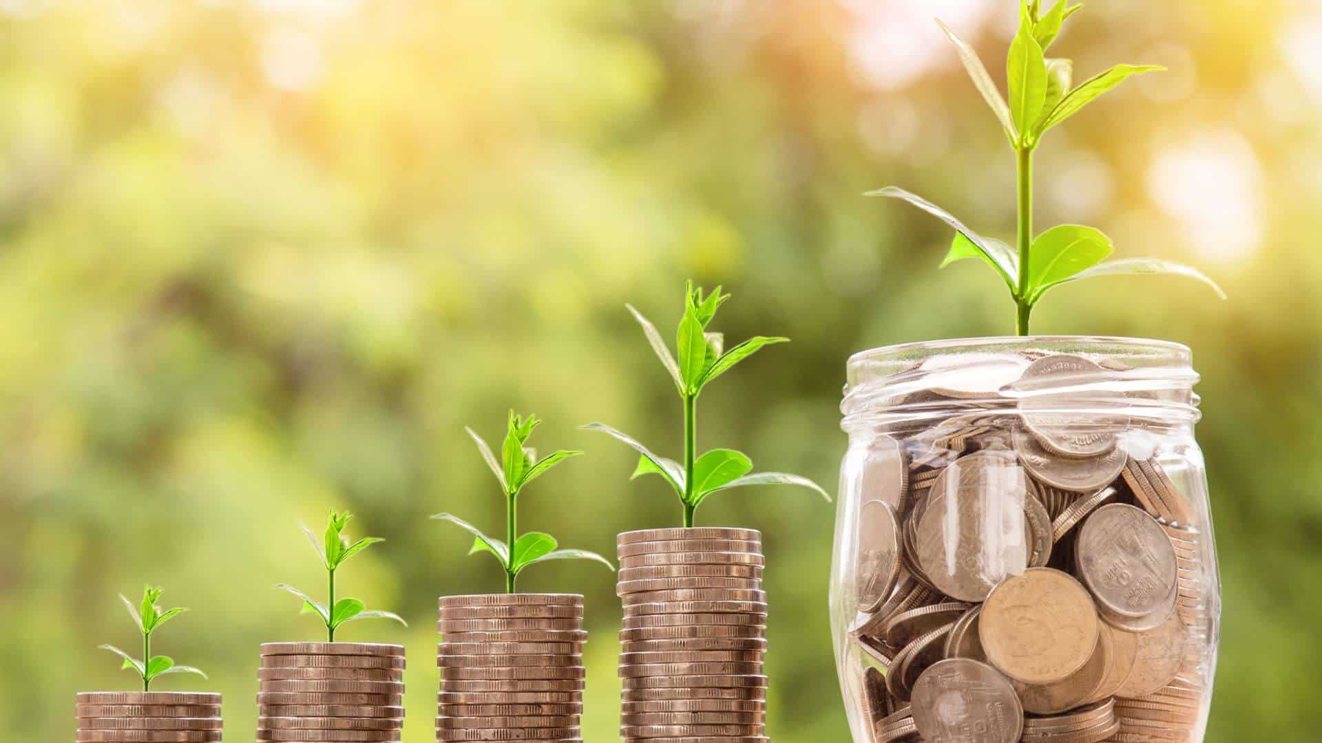 A picture of plants growing from coin jars depicting organic seo company natural growth