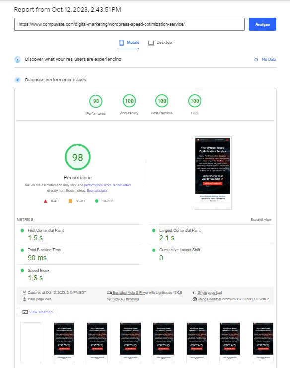 screenshot of compuvate website pagespeed insight score for desktop